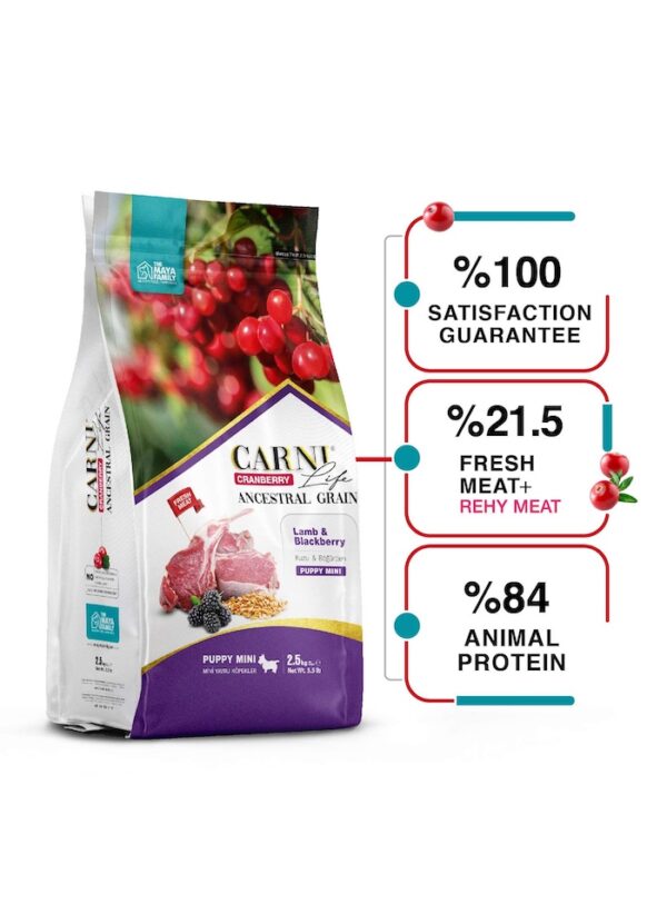 FurRwe - Hyper Premium, CRANBERRY, Lamb and Blackberry for Miniature Size Puppies