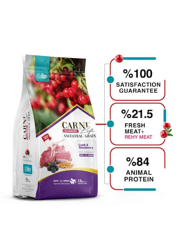 FurRwe - Hyper Premium, CRANBERRY, Lamb and Blackberry for Puppies