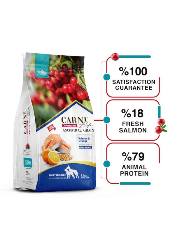 FurRwe - Hyper Premium, CRANBERRY, Salmon and Orange Food  for Adult Medium to Large Dogs