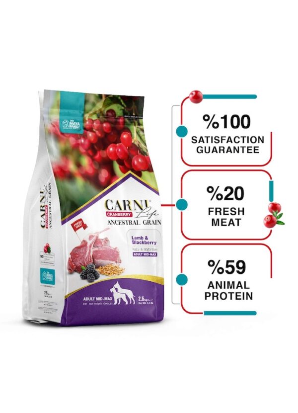 FurRwe - Hyper Premium, CRANBERRY, Lamb and Blackberry Food for Adult Medium to Large Dogs