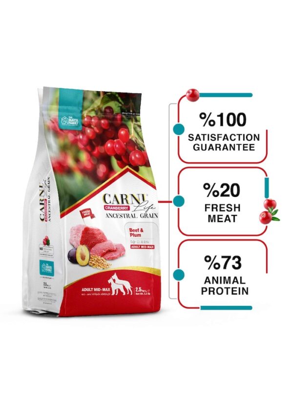 FurRwe - Hyper Premium, CRANBERRY, Beef and Plum Food for Adult Medium to Large Dogs