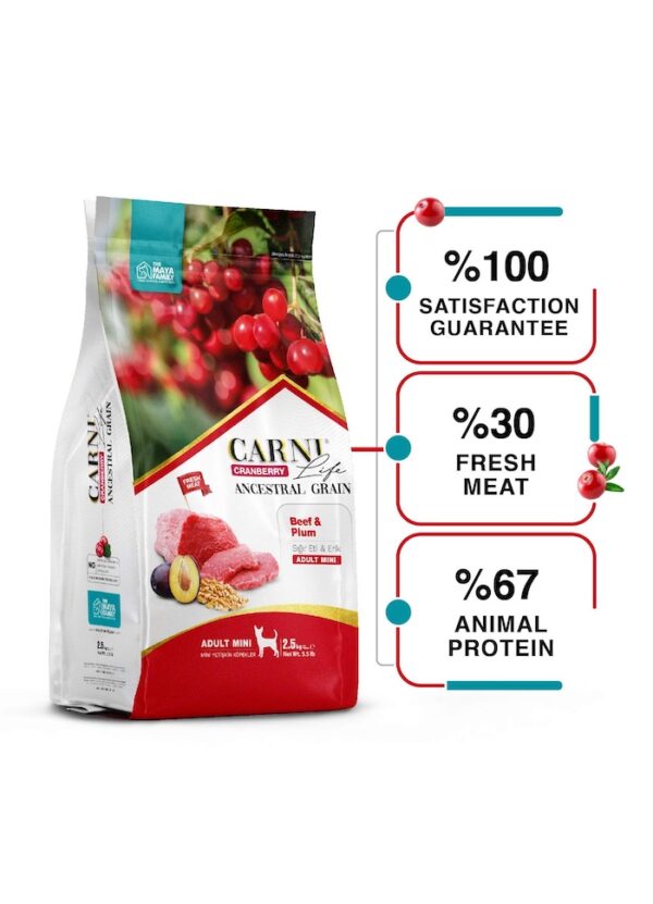 FurRwe - Hyper Premium, CRANBERRY, Beef and Plum, Food  for Adult Miniature Dogs