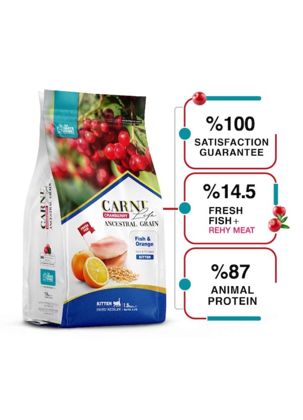FurRwe - Hyper Premium, CRANBERRY, Fish and Orange Food for Kittens (or Lactating or Pregnant Cats)