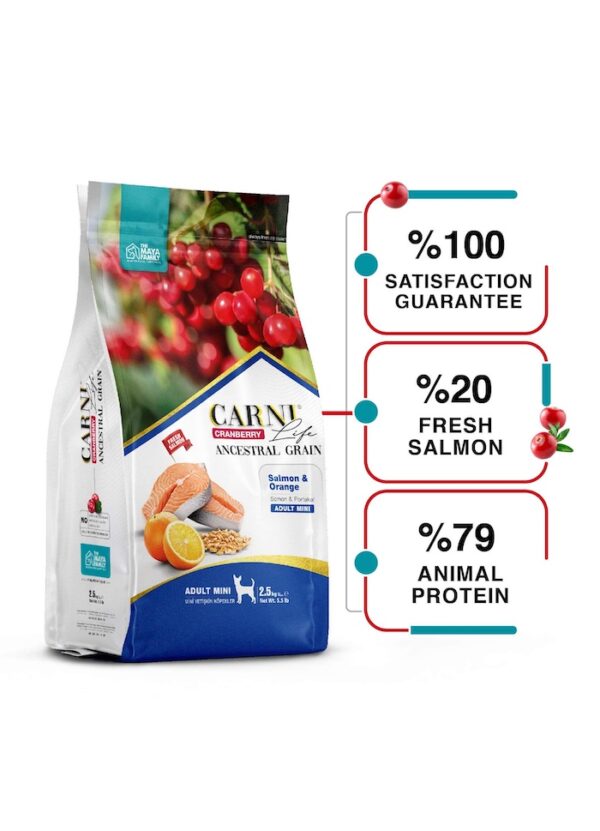 FurRwe - Hyper Premium, CRANBERRY, Salmon and Orange Food for Adult Miniature Dogs