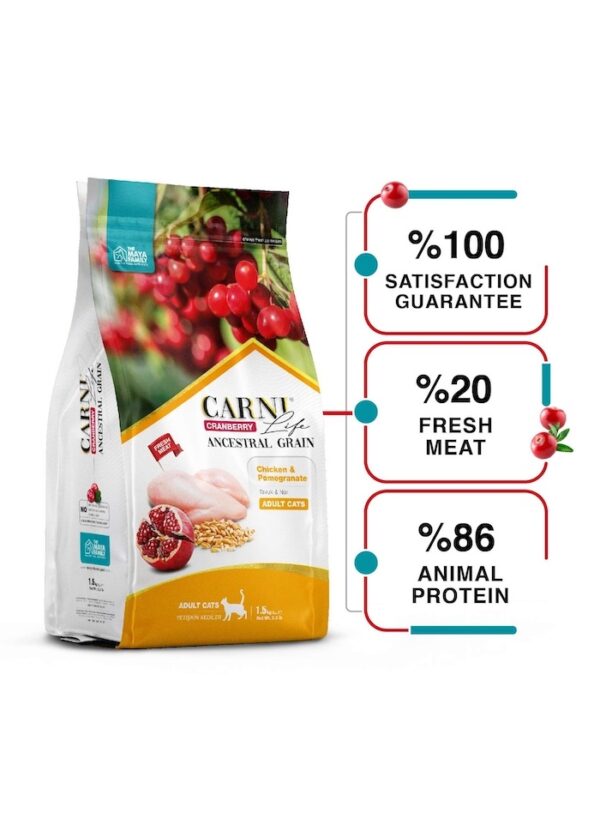 FurRwe - Hyper Premium, CRANBERRY, Chicken and Pomegranate Food for Adult Cats (Sterilised or Neutered)