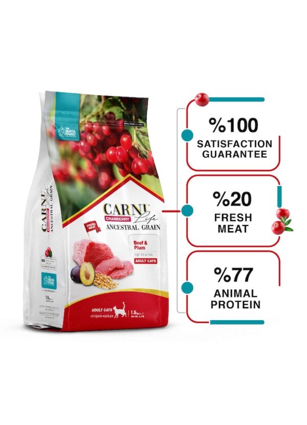FurRwe - Hyper Premium, CRANBERRY, Beef and Plum Food for Adult Cats