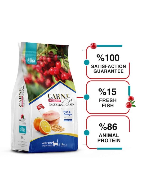 FurRwe - Hyper Premium, CRANBERRY, Fish and Orange Food for Adult Cats