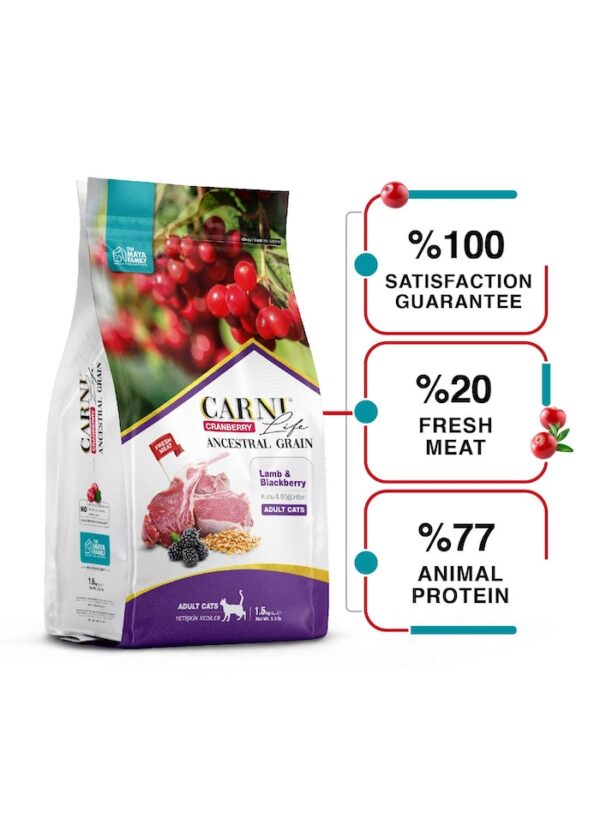 FurRwe - Hyper Premium, CRANBERRY, Lamb and Blackberry Food for Adult Cats